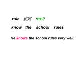 人教精通版小学英语五下 Unit3 We should obey the rules.(Lesson13) 课件