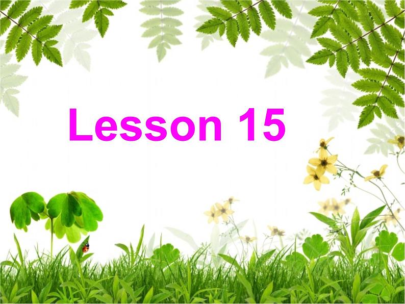 人教精通版小学英语六下 Unit3 We are going to travel.(Lesson15) 课件01