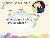 外研版（三起）小学英语三下 M6U2 What does Lingling have at school？ 课件