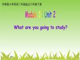 外研版（三起）小学英语六下 Module10 Unit2 What are you going to study？ 课件