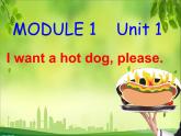 外研版（一起）小学英语六下 M1U1 I want a hot dog,please. 课件