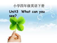 小学英语湘少版四年级下册Unit 3 What can you see?评课课件ppt