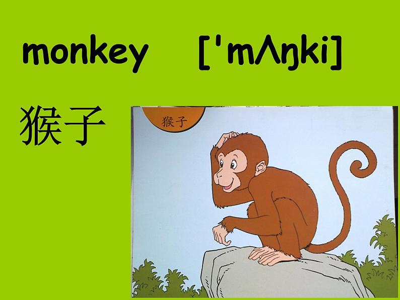 三年级英语下册课件-Module 2 Unit 1 They're monkeys.（8）-外研版（三起）02