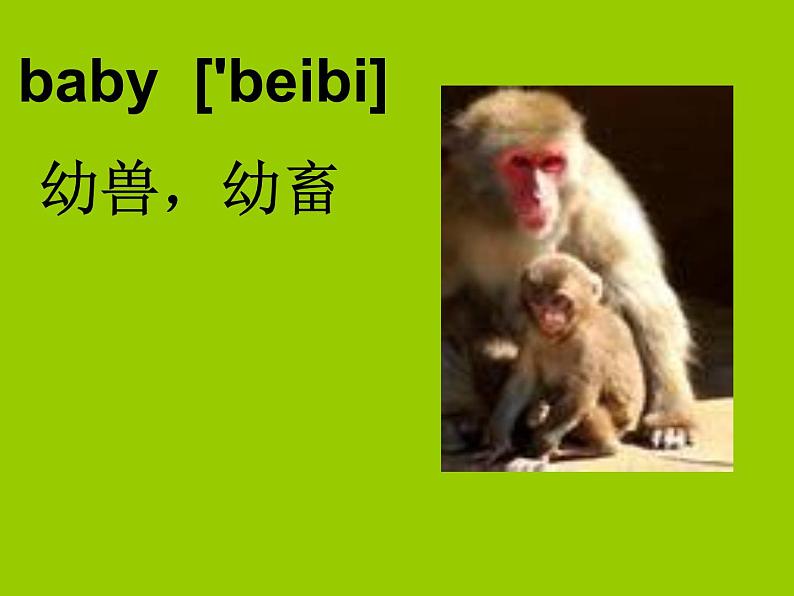 三年级英语下册课件-Module 2 Unit 1 They're monkeys.（8）-外研版（三起）03