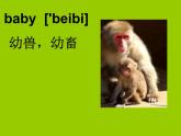 三年级英语下册课件-Module 2 Unit 1 They're monkeys.（8）-外研版（三起）