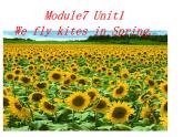 三年级英语下册课件-Module 7 Unit 1 We fly kites in spring.（1）-外研版（三起）