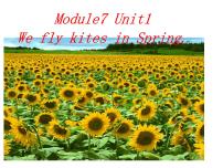 三年级下册Unit 1  We fly kites in spring.教课ppt课件