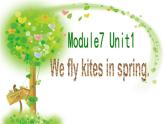 三年级英语下册课件-Module 7 Unit 1 We fly kites in spring.（16）-外研版（三起）