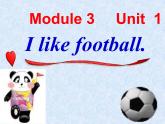 三年级英语下册课件-Module 3 Unit 1 I like football.（7）-外研版（三起）