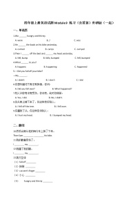 外研版 (一年级起点)四年级上册Module 9模块综合与测试课后练习题