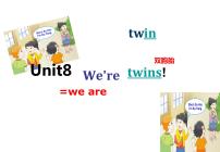 小学英语新版-牛津译林版三年级下册Unit  8  We're twins!教课课件ppt