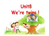 译林版小学英语三下 Unit8 We're twins!(第3课时) 课件