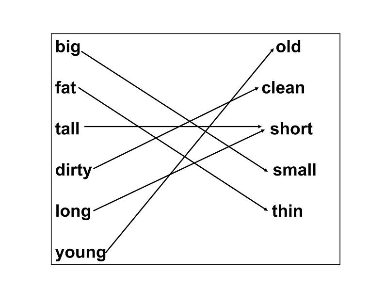 外研版（三起）小学英语四下 M5 U2 They were young. 课件第5页