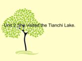 外研版（三起）小学英语五下 M6 U2 She visited the tianchi lake. 课件