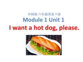 外研版（三起）小学英语六下 Module1 Unit1 I want a hot dog,please. 课件