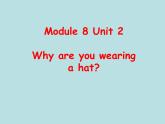 外研版（三起）小学英语六下 Module8 Unit2 Why are you wearing a hat？ 课件
