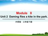 外研版（三起）小学英语三下 M8U2 Daming flies a kite in the park. 课件