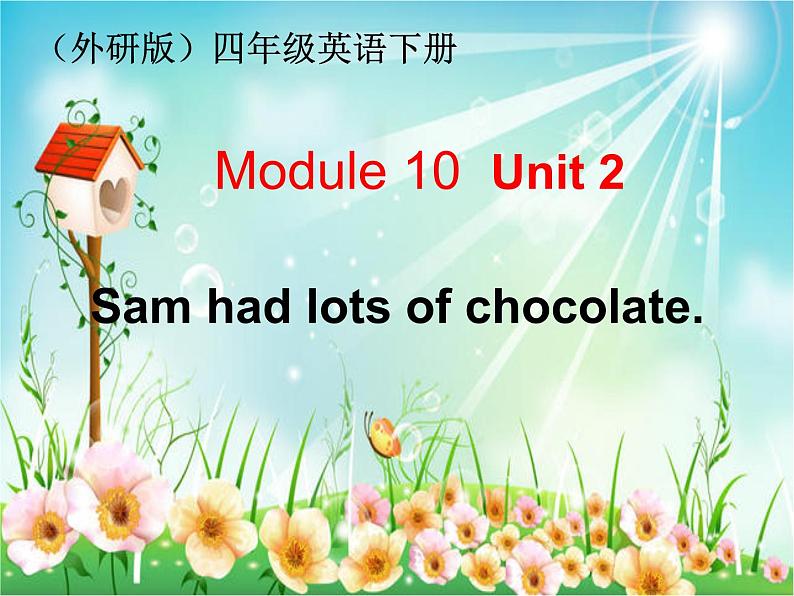 外研版（三起）小学英语四下 M10 U2 Sam had lots of chocolate. 课件01