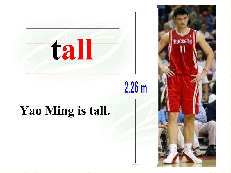 冀教版（三起）四下英语 U3L14 Are You Short or Tall？ 课件04