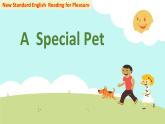 外研版（一起）小學(xué)英語五下 A Special pet 課件