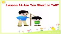 小学Lesson 14 Are You Short or Tall?课文配套ppt课件