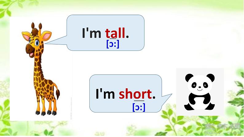 冀教版（三起）四下英语 U3L14 Are You Short or Tall？ 课件02