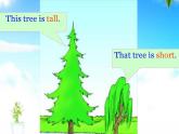 冀教版（三起）四下英語(yǔ) U3L14 Are You Short or Tall？ 課件