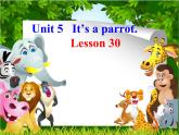 人教精通版英语三下 Unit5 It's a parrot.(Lesson30) 课件