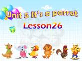 人教精通版英语三下 Unit5 It's a parrot.(Lesson26) 课件