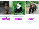 人教精通版小學(xué)英語(yǔ)四下 Unit6 Would you like to take a trip？(Lesson32) 課件