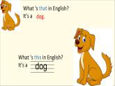 人教精通版小學(xué)英語四下 Unit6 Would you like to take a trip？(Lesson33) 課件