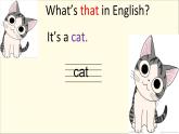 人教精通版小學(xué)英語四下 Unit6 Would you like to take a trip？(Lesson33) 課件