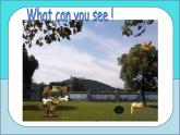 译林版小学英语四下 Unit4 Drawing in the park(第3课时) 课件