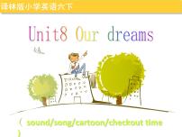 新版-牛津译林版六年级下册Unit 8 Our dreams教案配套ppt课件