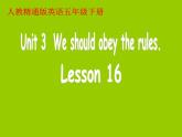 人教精通版小學(xué)英語五下 Unit3 We should obey the rules.(Lesson16) 課件
