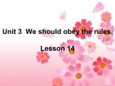 人教精通版小学英语五下 Unit3 We should obey the rules.(Lesson14) 课件