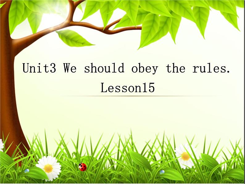 人教精通版小学英语五下 Unit3 We should obey the rules.(Lesson15) 课件01