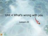 人教精通版小学英语五下 Unit4 What's wrong with you？(Lesson23) 课件