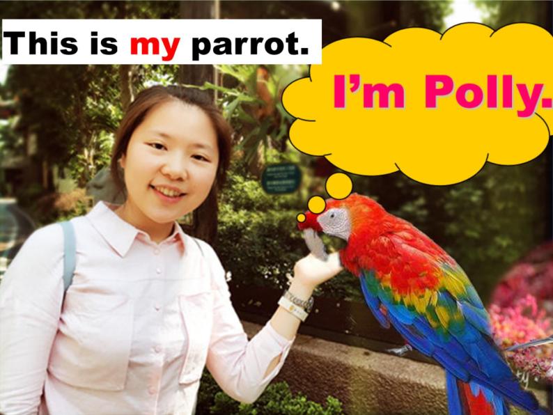 人教精通版英语三下 Unit5 It's a parrot.(Lesson30) 课件06