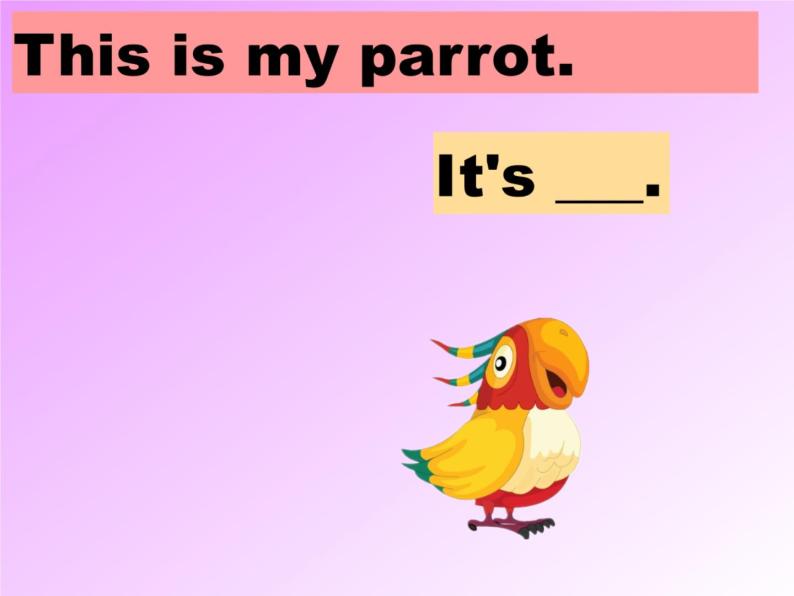 人教精通版英语三下 Unit5 It's a parrot.(Lesson30) 课件07