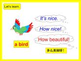 译林版小学英语三下 Unit4 Where's the bird？(第1课时) 课件