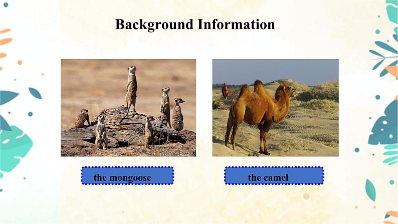 小升初英语阅读与写作 Unit7 （课件） （通用版）08