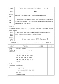 人教精通版六年级下册Lesson 11教案