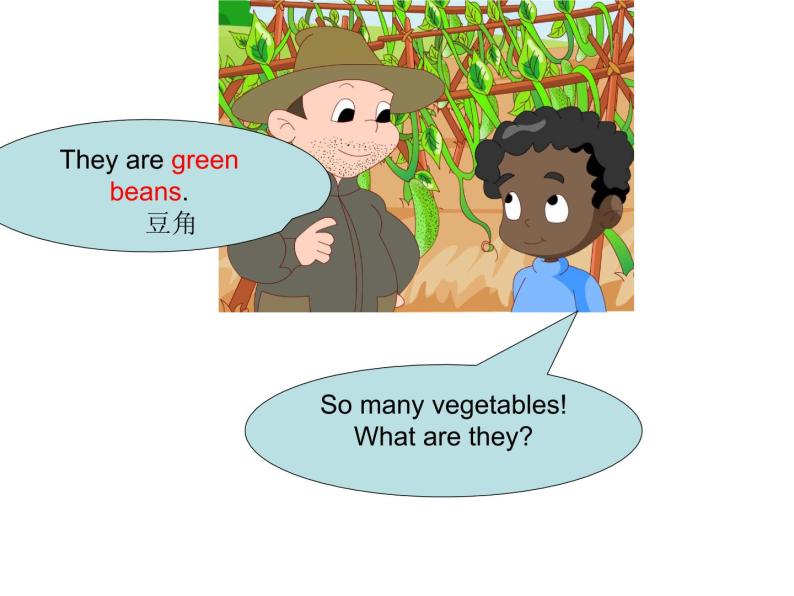 北师大版三下英语 Unit8 Vegetables lesson1 课件07