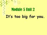 外研版（三起）小学英语五下 M5 U2 It's too big for you. 课件