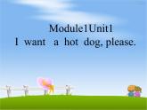 外研版（三起）小学英语六下 Module1 Unit1 I want a hot dog,please. 课件
