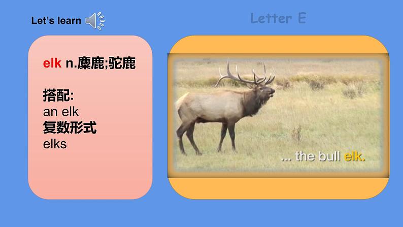 Unit 3 《Are you Kitty》 Period 4 课件PPT+教案+练习04