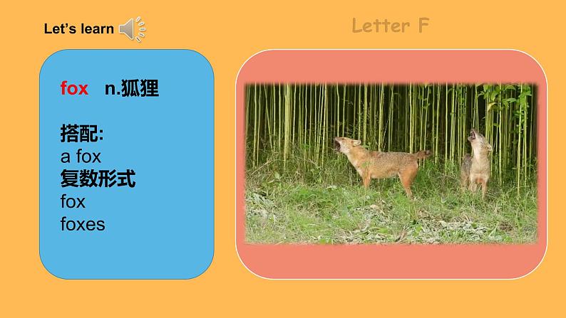 Unit 3 《Are you Kitty》 Period 4 课件PPT+教案+练习07