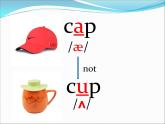 外研版（三起）小學(xué)英語六下 Module8 Unit1 Why do you have cups on your heads？ 課件