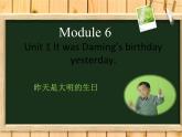 六年级英语下册课件-Module 6 Unit 1 It was Daming's birthday yesterday-外研版(三起)